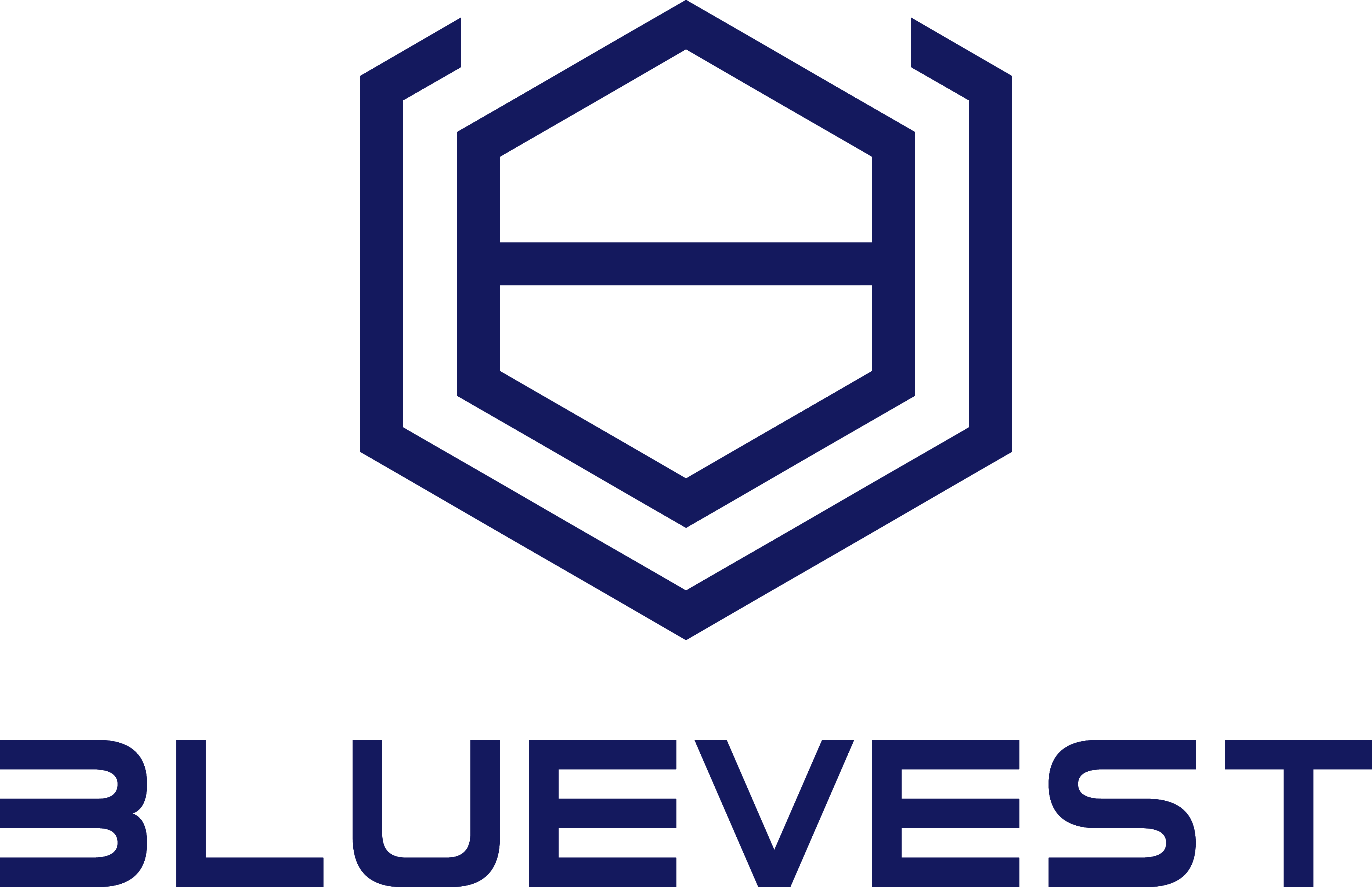 Bluevest Logo