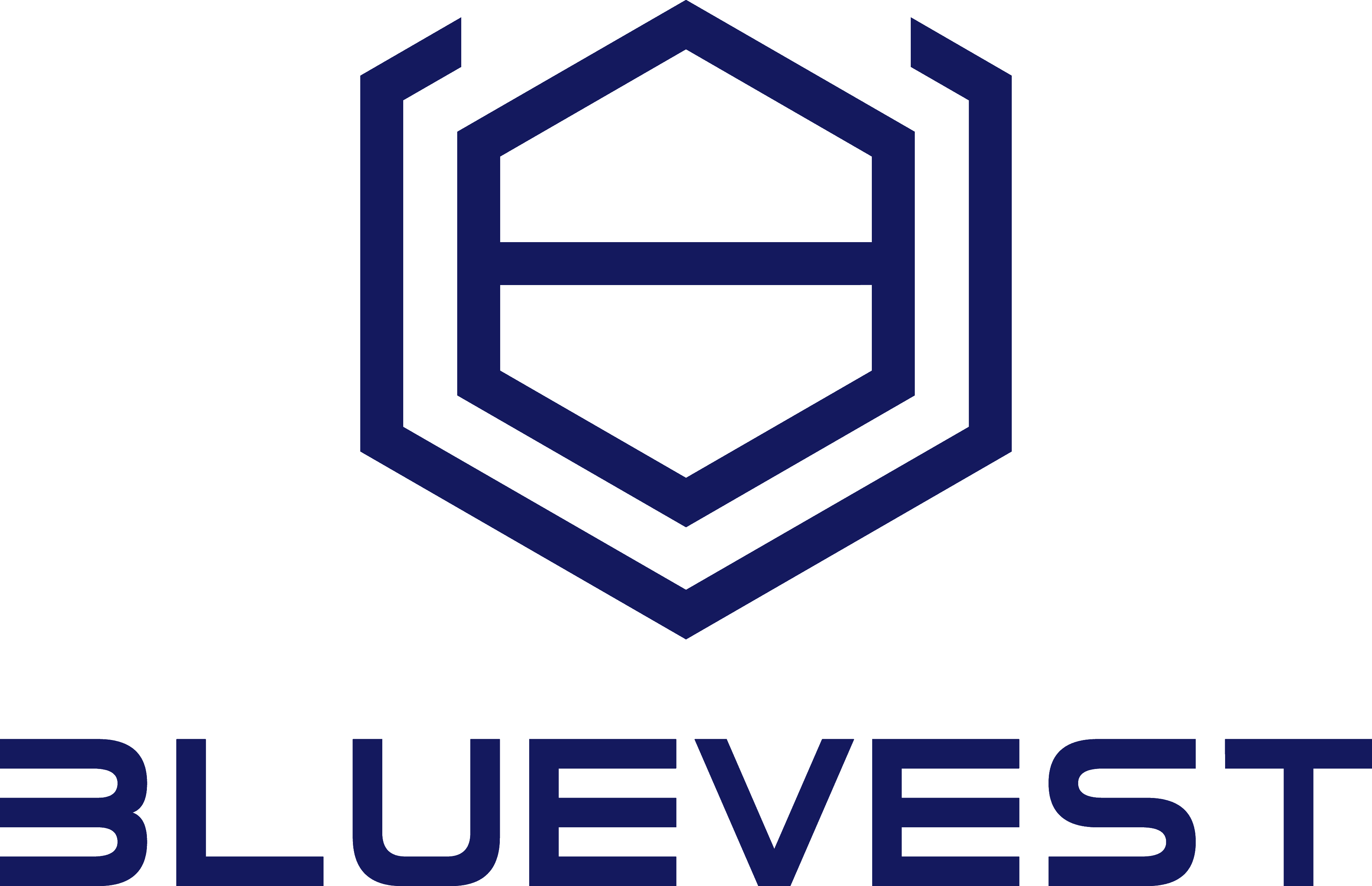 Bluevest Logo